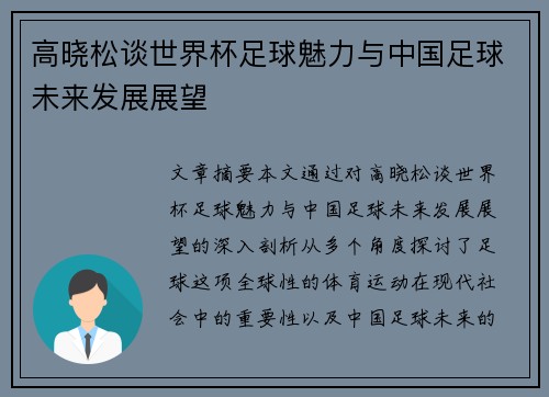 高晓松谈世界杯足球魅力与中国足球未来发展展望